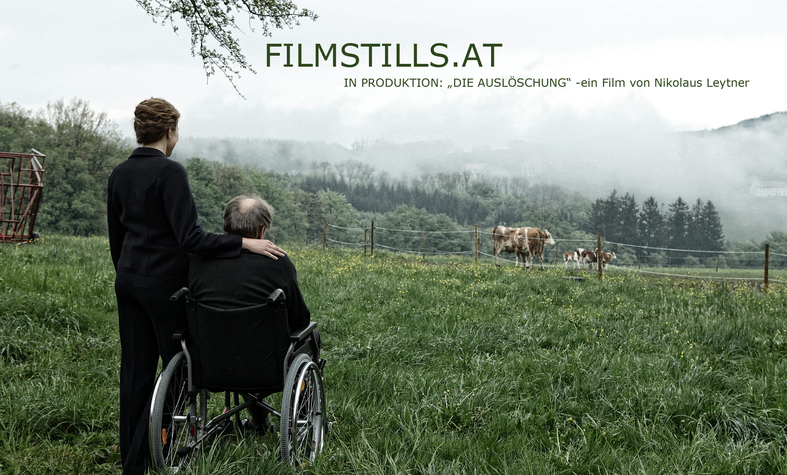 KLICK TO ENTER FILMSTILLS.AT >>>